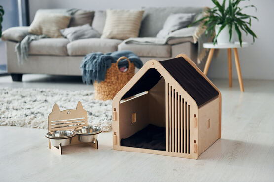 Portfolio Image 6